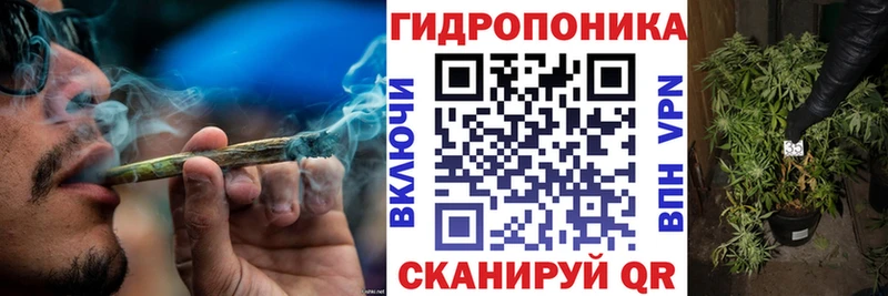 купить наркотик  shop Telegram  Канабис THC 21%  Светлогорск 